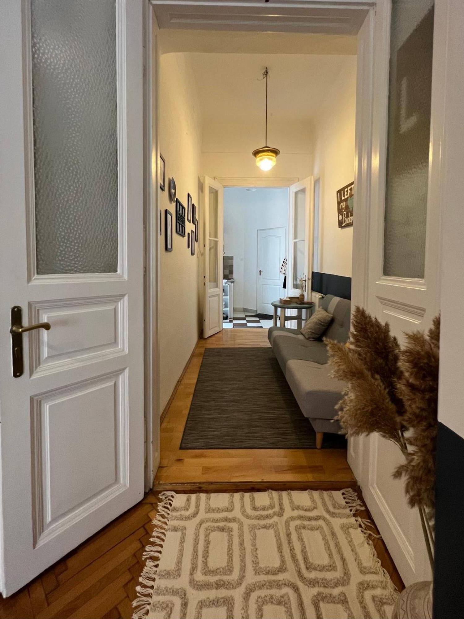 Rustic Apartment In Downtown Of Budapeşte Dış mekan fotoğraf